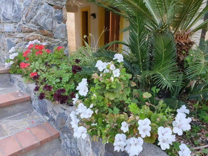 Deluxe Double room with mountain view