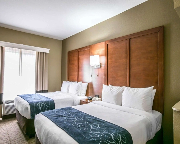 Quadruple Suite