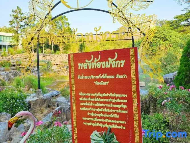 Wonder Mountain Resort