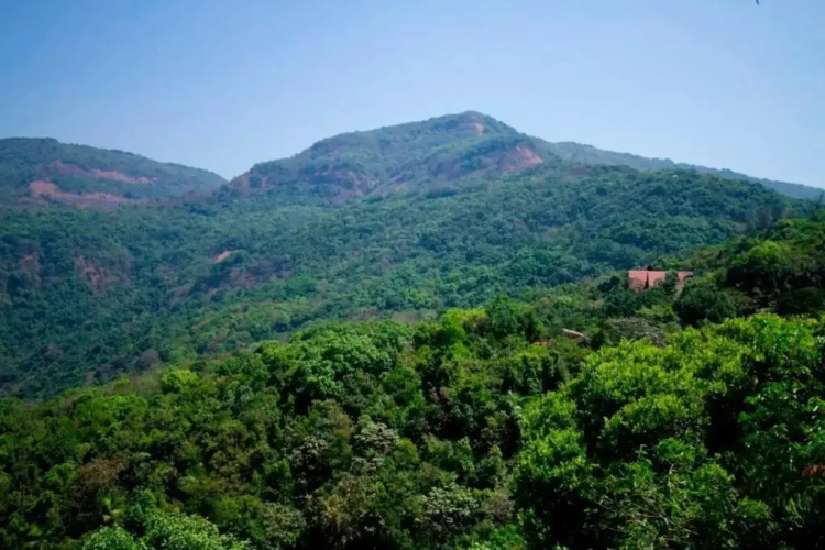 Swapnagandha Resort