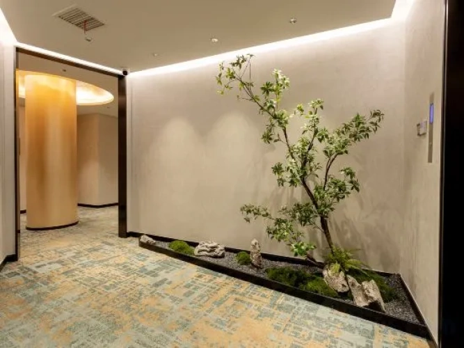 Hotel rooms