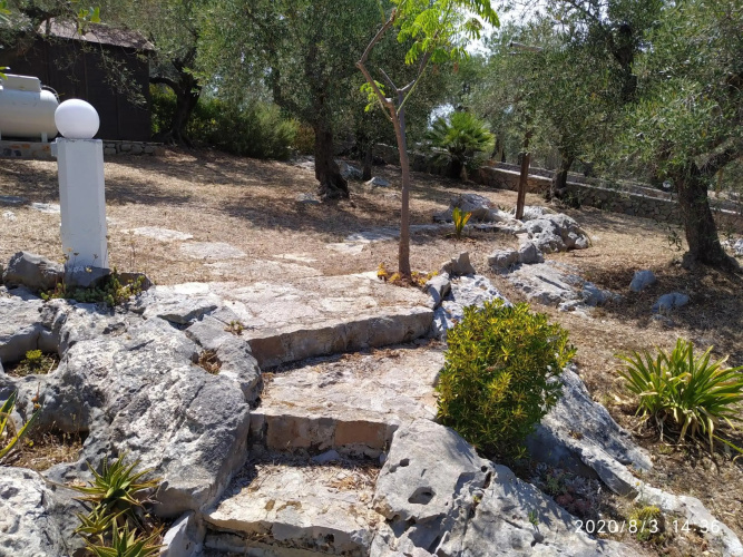 Il giardino di Mary
