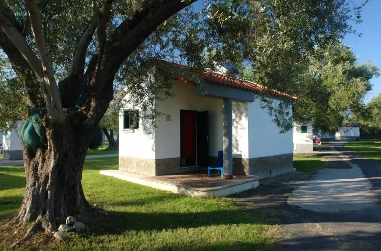 Comfort Bungalow