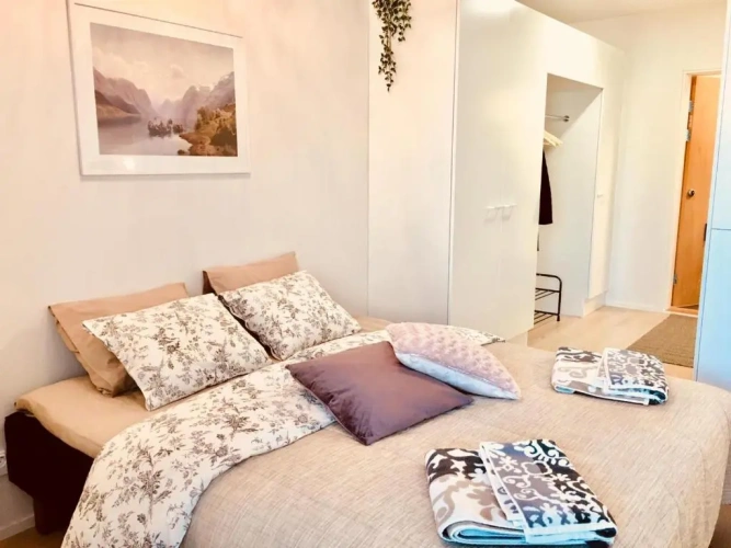 1 Bedroom Apartment