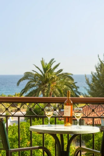 Standard Double room with balcony and with garden view