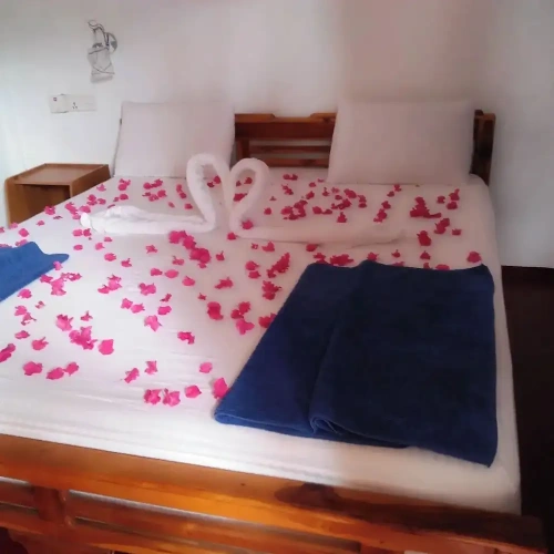Luxury Double room