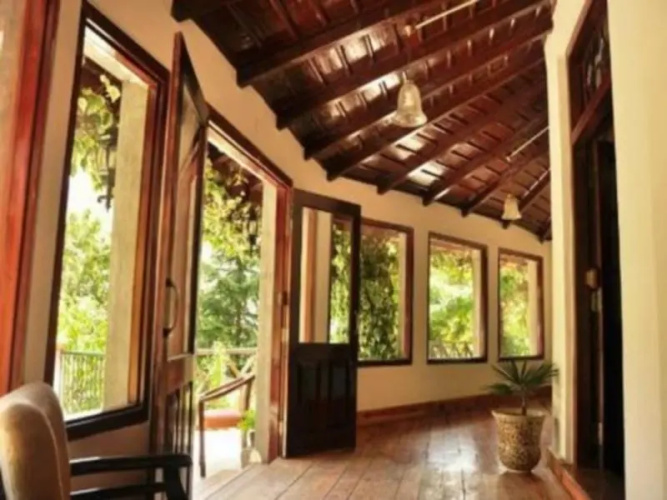The HIve Cottage