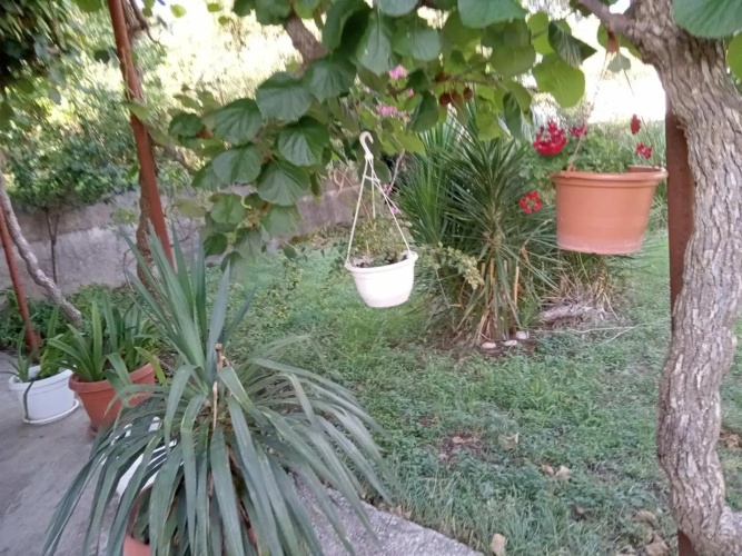 Apartman Ipak Se Okrece