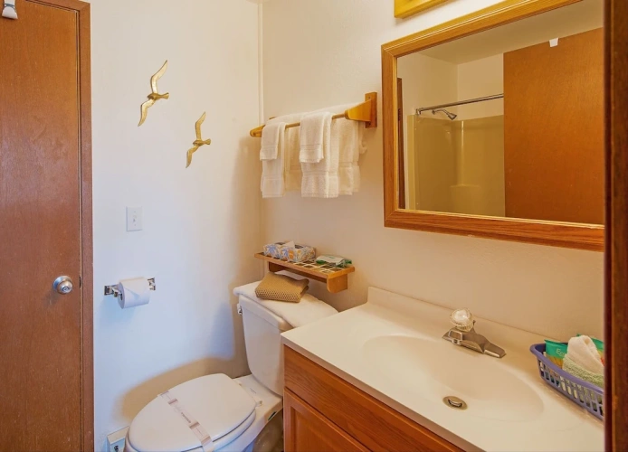 1 Bedroom Standard room