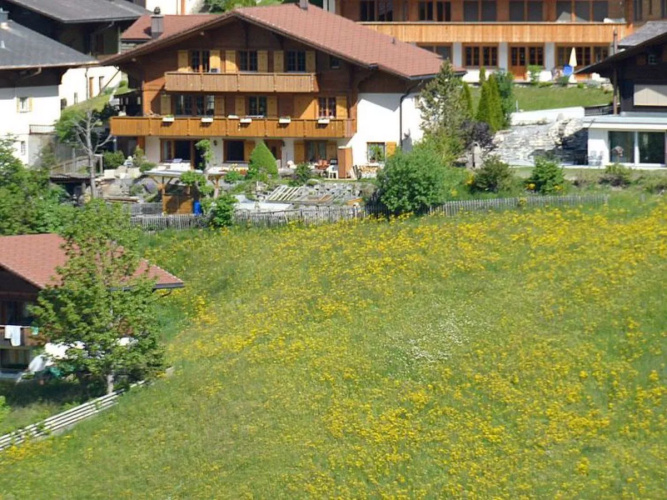 Apartment Marielle Adelboden