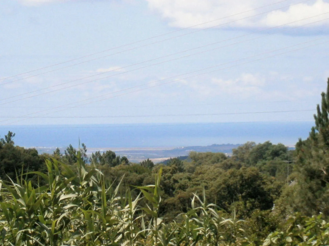 Quinta do Tempo