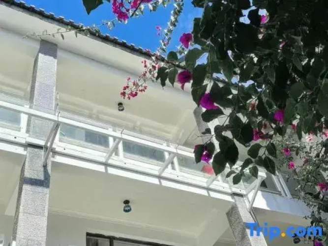 dali deep blue courtyard hoyel