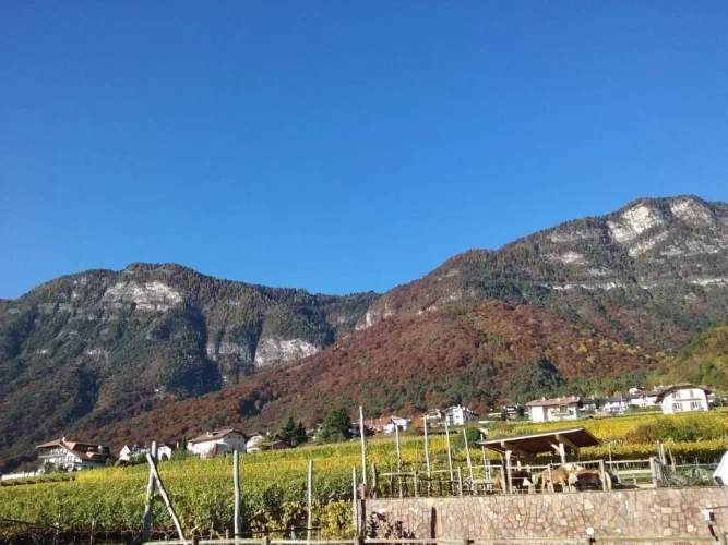 Apartment with mountain view