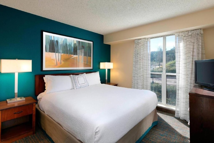 1 Bedroom Suite