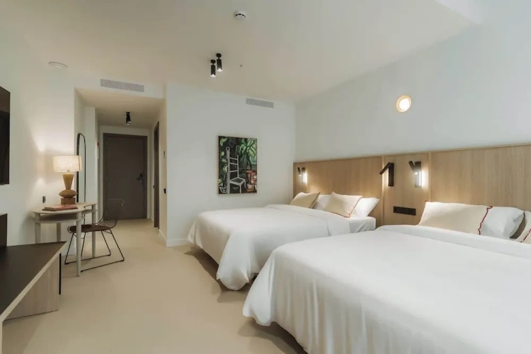 Superior Suite
