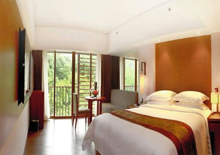 Superior Twin room with balcony and with mountain view