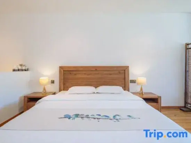 Deluxe Double room with courtyard view