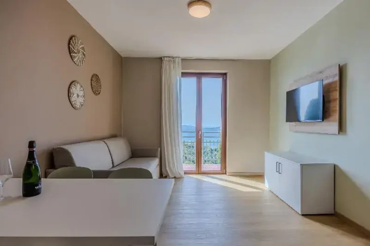 1 Bedroom Superior Apartment