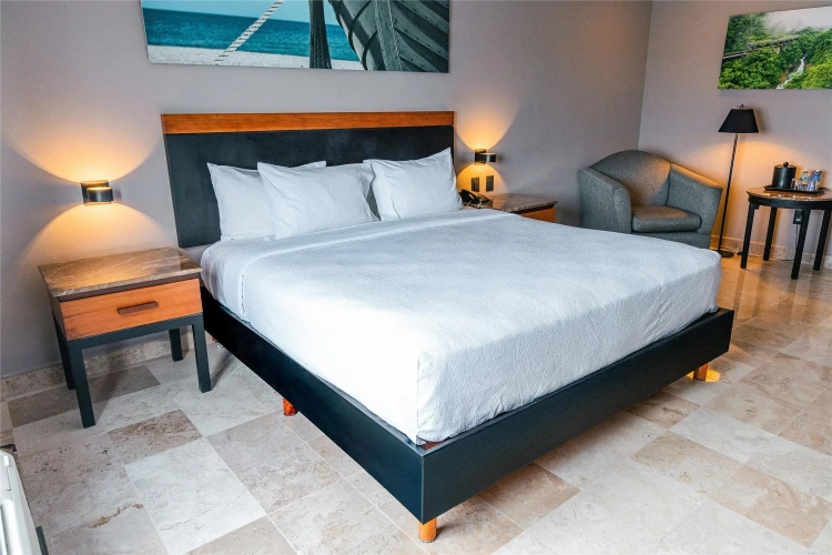 Standard Double room with ocean view
