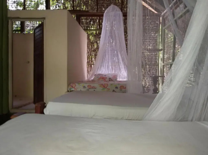 Eco Hotel Las Palmeras