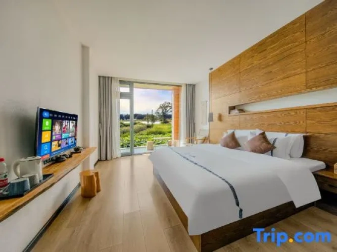 Standard Double room with balcony and with lake view