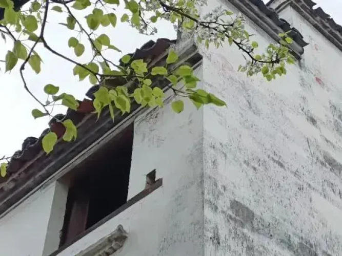 Jiangling Guesthouse