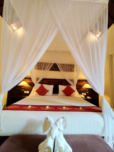 Deluxe Double Suite