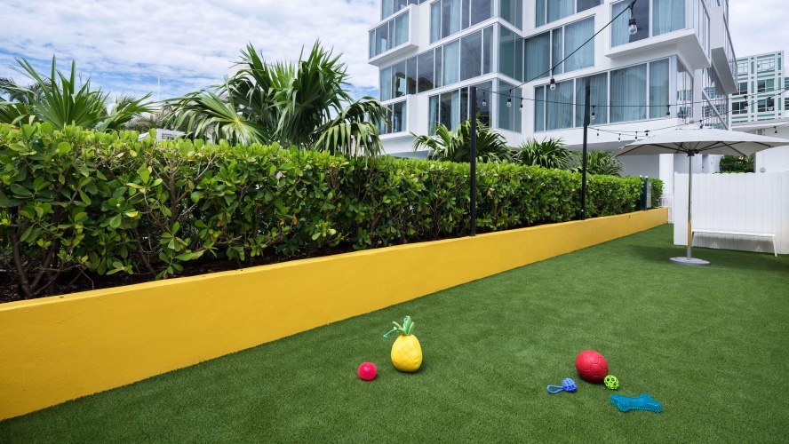Hyatt Centric South Beach Miami photo 42