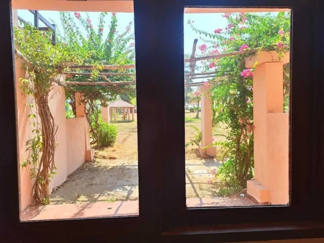 Deluxe Double room with pool view