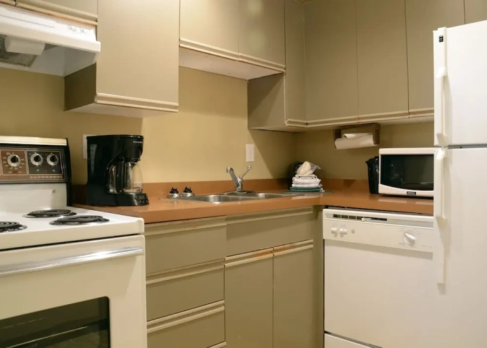 1 Bedroom Classic Suite