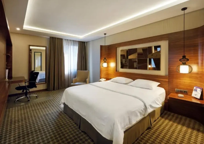 Deluxe Single room
