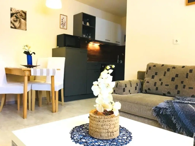 Family Apartment