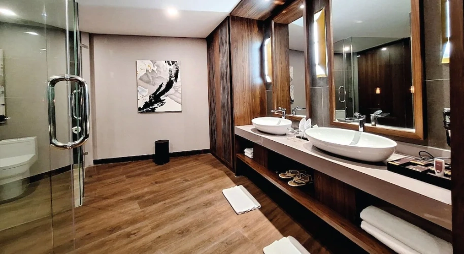 Presidential Single room with balcony and with mountain view