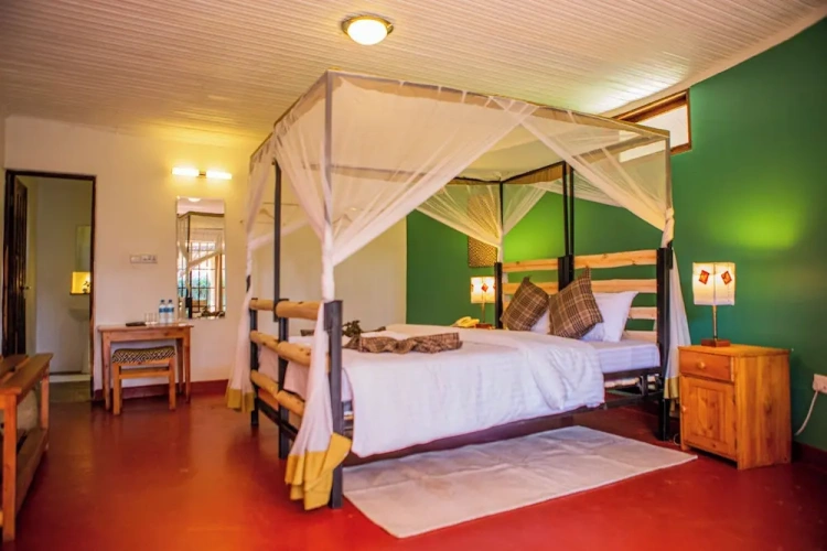 Deluxe Single room
