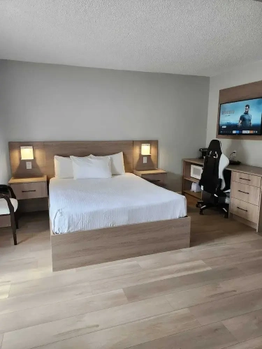 2 Bedrooms Comfort Single room