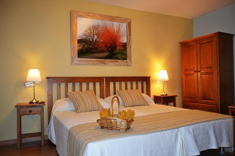 Standard Twin room with mountain view