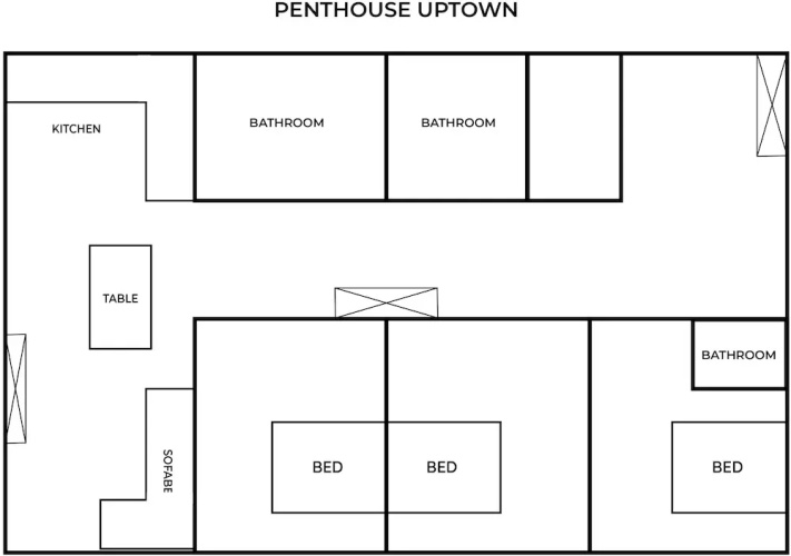 Deluxe Penthouse room with city view