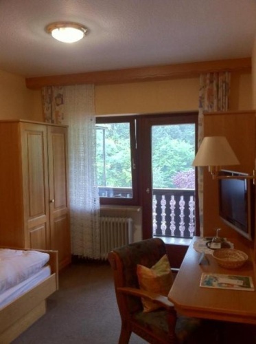 Standard Double room with balcony and with view