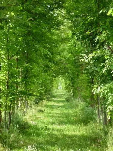 Agriturismo Ca' Marcello