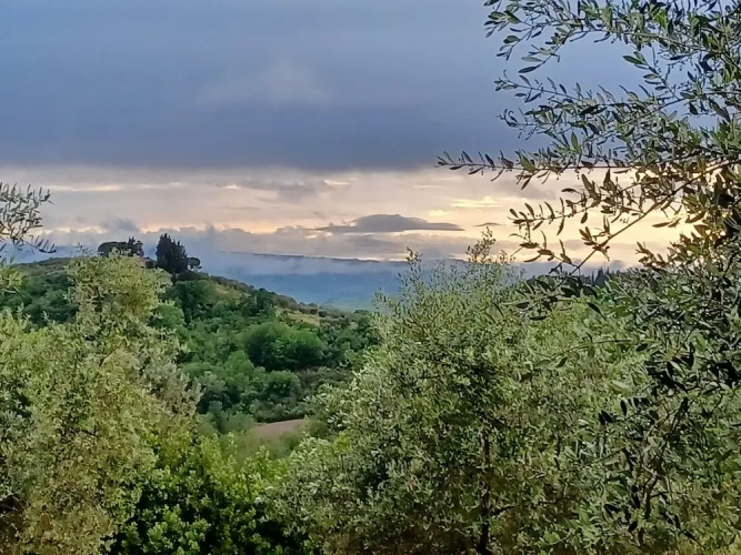 Superior Double room with view