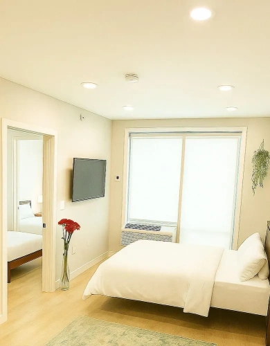Luxury Apartment