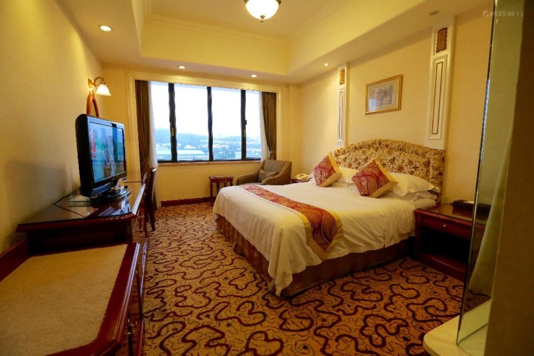 Executive Single room with city view