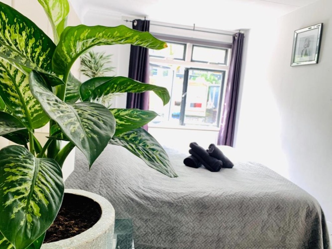 2 Bedrooms Double Apartment