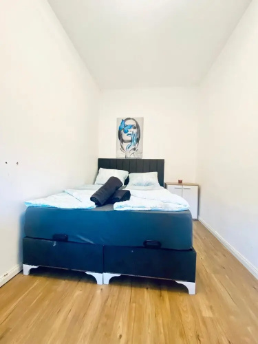Spacious 4BR for 15 & 15 Min to Danube