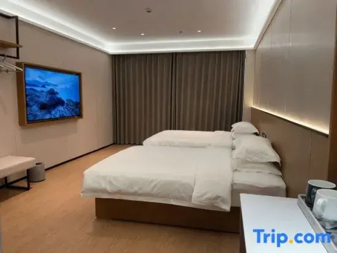 Twin Suite