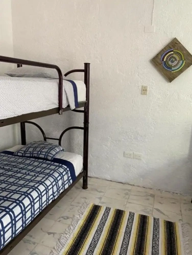 Standard Double room with garden view