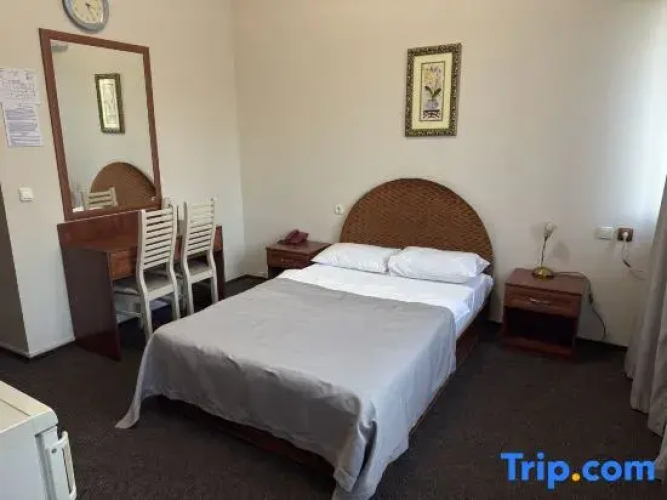 Фотография номера гостиницы Saya Hotel Almaty