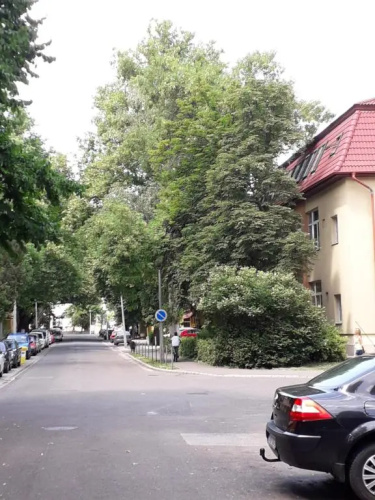 Kodály Apartman