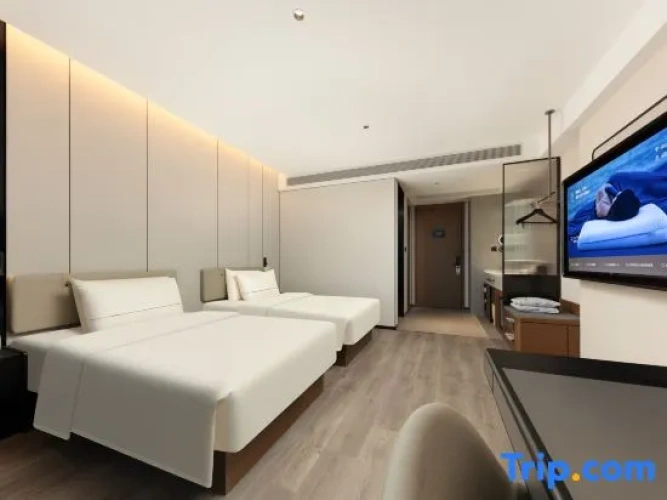 Executive Twin room with city view
