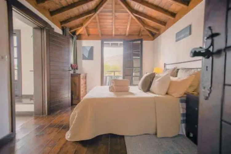 Casita Palmera